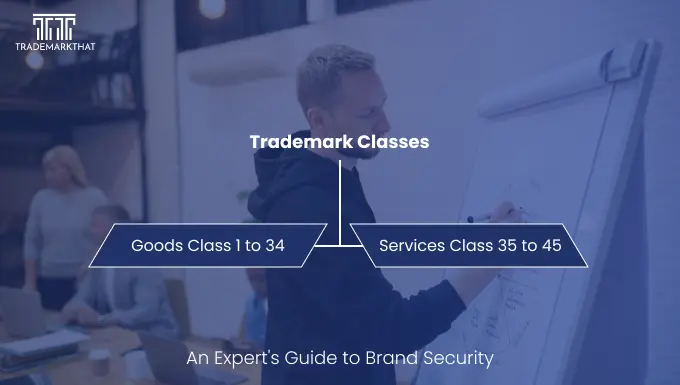 Understanding Trademark Classes and Categories